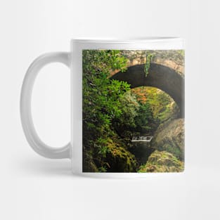 The Old Bridge, Tollymore Forest Park Mug